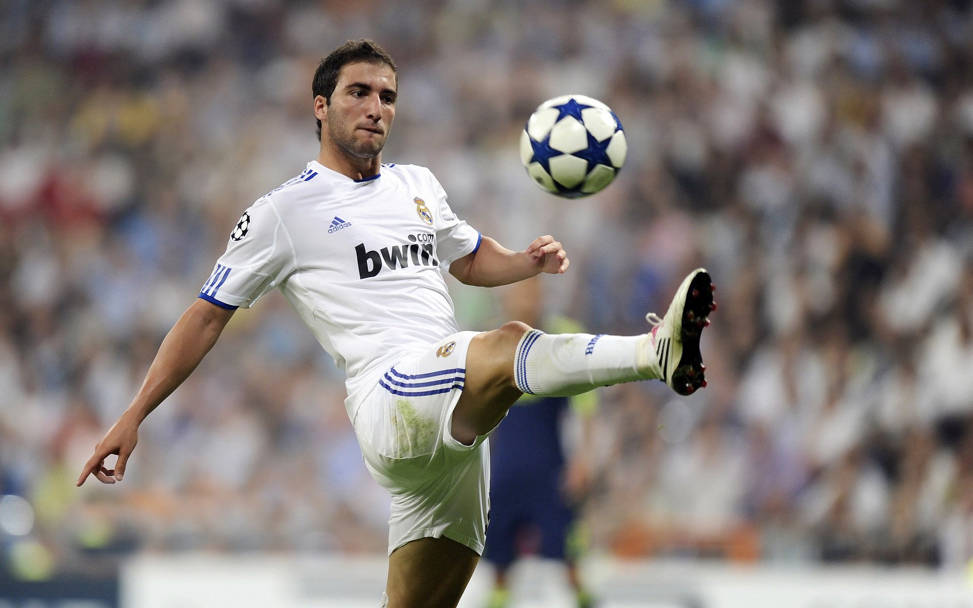 前热刺球星阿尔德韦雷尔德开启多彩人生,阿尔德里奇热火