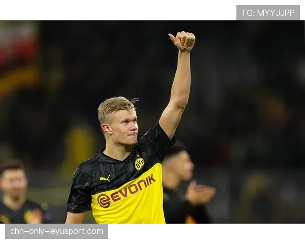 哈兰德体能管理获教练组高度评价，哈兰德履历