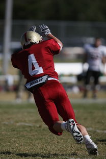 乐鱼体育登录-击全运赛场｜跳水开赛首日，陈艺文林珊领衔广东队出战，陈艺文全运会跳水女子3米跳板夺金